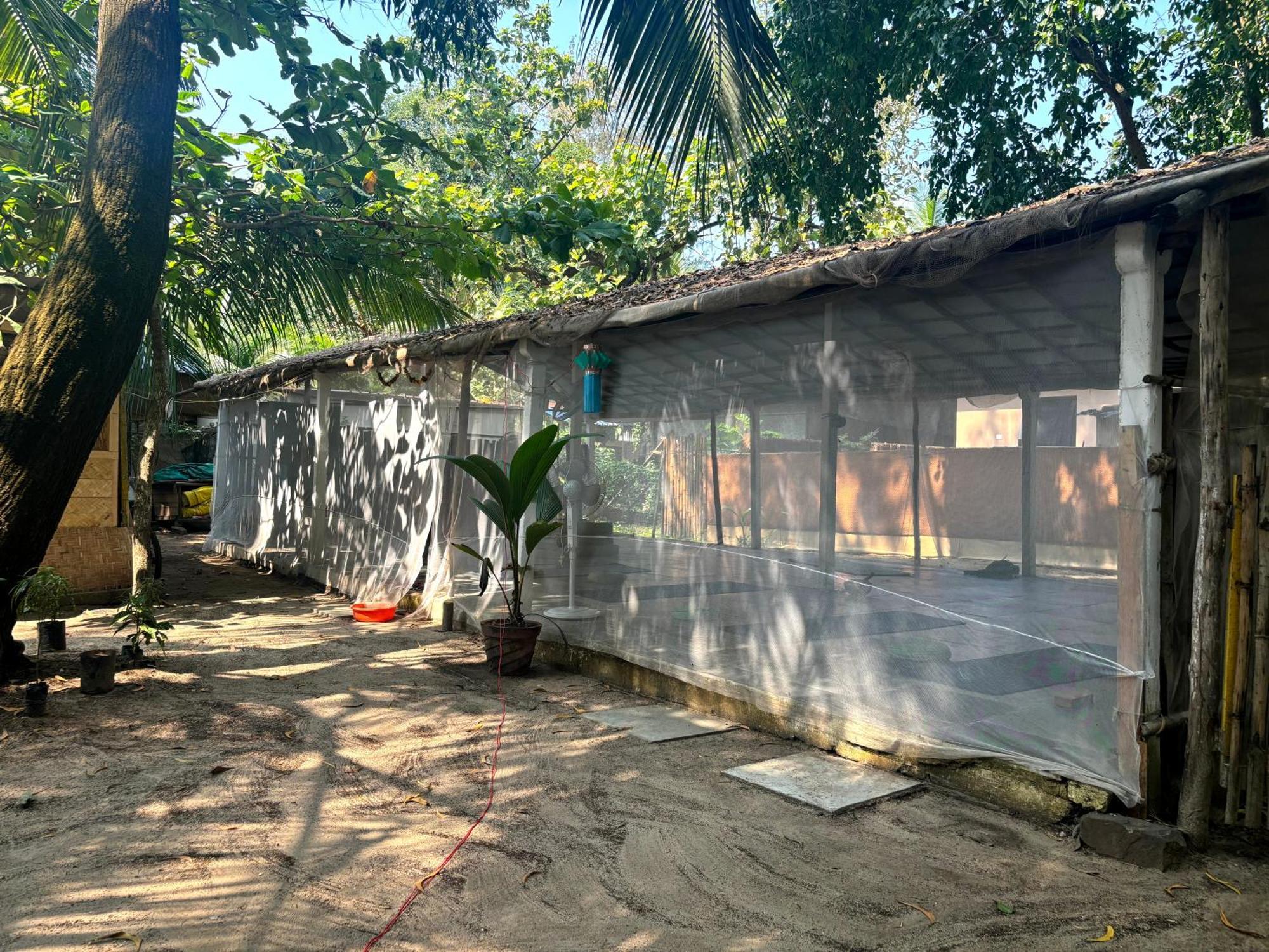Ruban Yoga Guest house